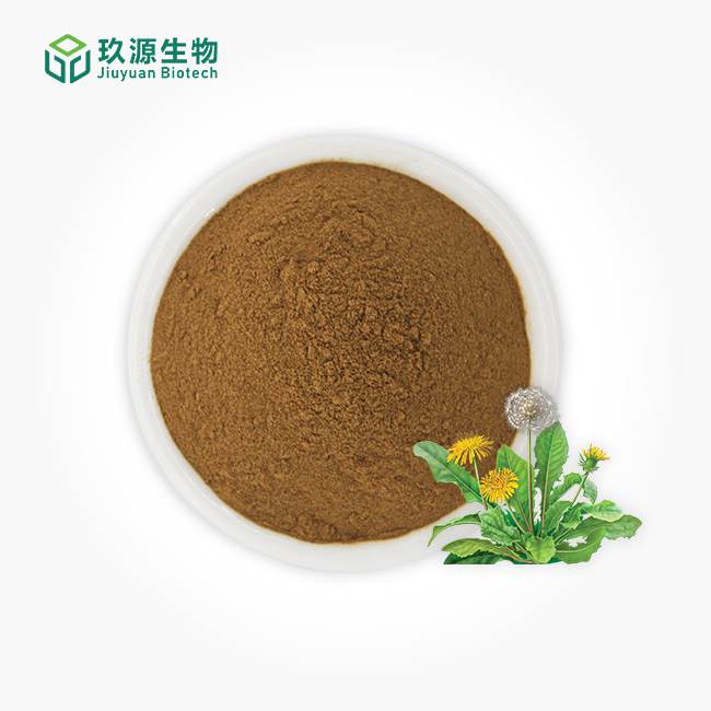 Dandelion Extract Powder